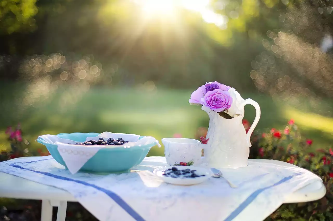 Entdecken Sie die besten milchfreien Alternativen für Milch, Käse und Joghurt